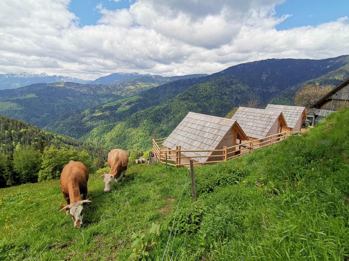 Farmstay&Glamping Visocnik Ljubno Eksteriør billede