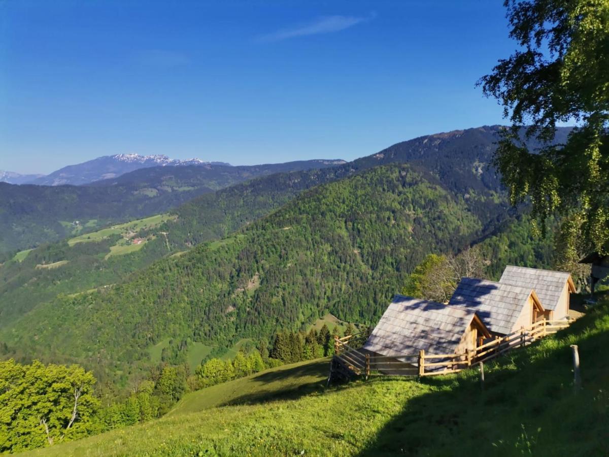 Farmstay&Glamping Visocnik Ljubno Eksteriør billede