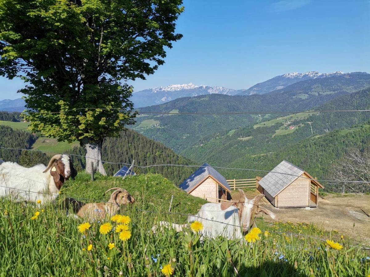 Farmstay&Glamping Visocnik Ljubno Eksteriør billede