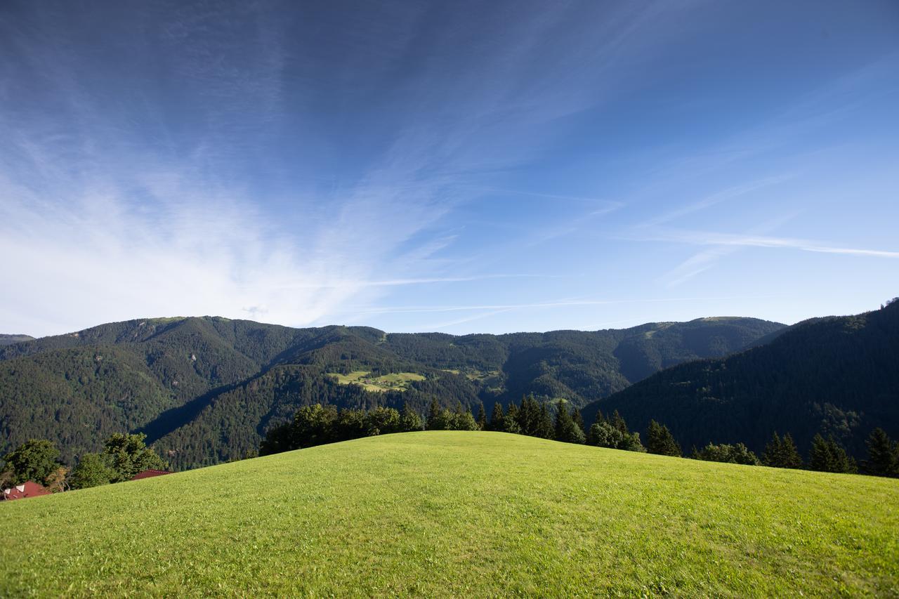 Farmstay&Glamping Visocnik Ljubno Eksteriør billede