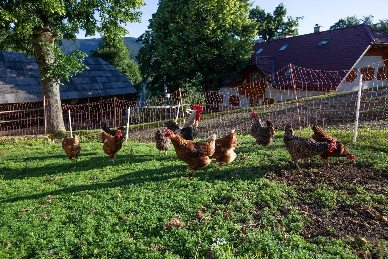 Farmstay&Glamping Visocnik Ljubno Eksteriør billede