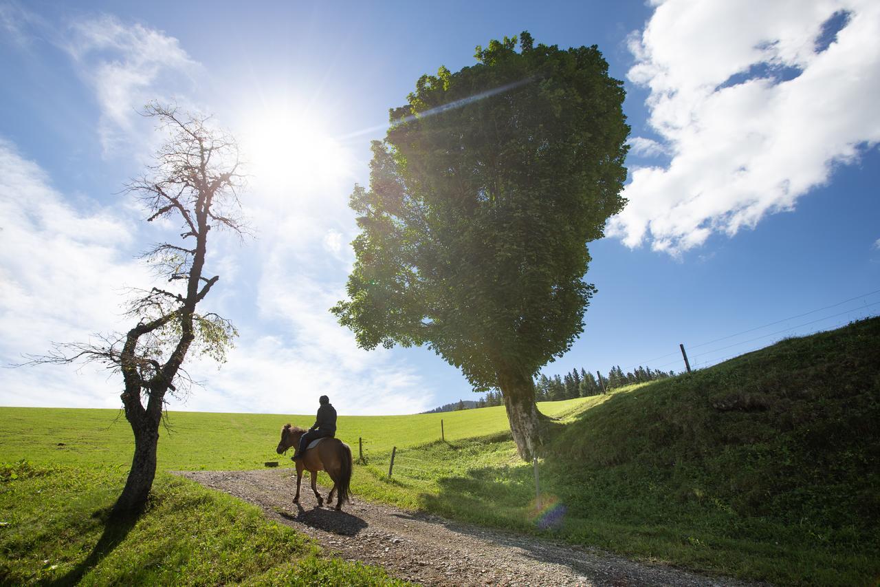 Farmstay&Glamping Visocnik Ljubno Eksteriør billede