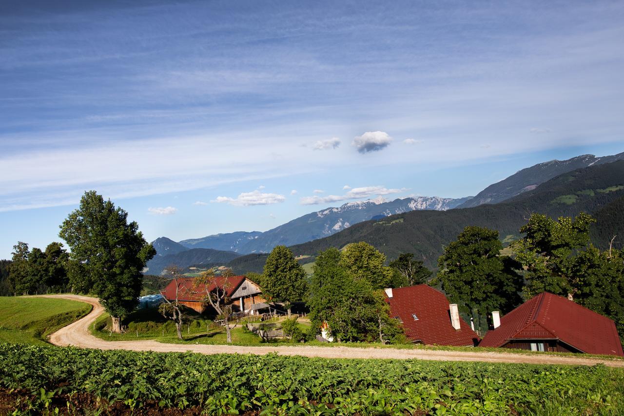 Farmstay&Glamping Visocnik Ljubno Eksteriør billede