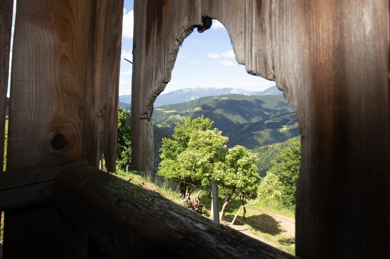 Farmstay&Glamping Visocnik Ljubno Eksteriør billede