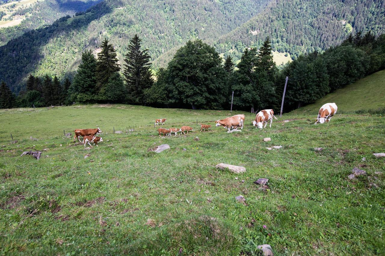 Farmstay&Glamping Visocnik Ljubno Eksteriør billede