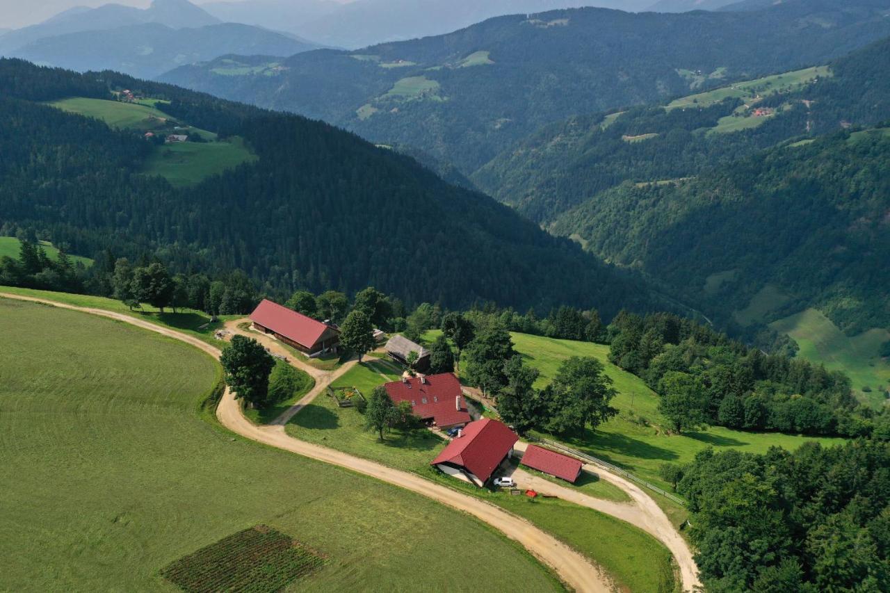 Farmstay&Glamping Visocnik Ljubno Eksteriør billede