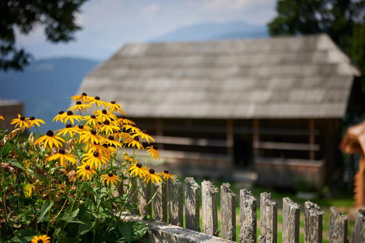 Farmstay&Glamping Visocnik Ljubno Eksteriør billede