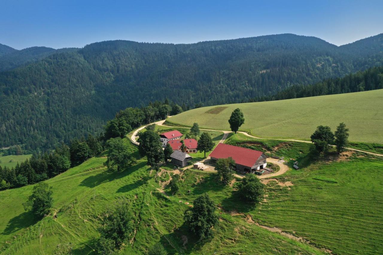 Farmstay&Glamping Visocnik Ljubno Eksteriør billede