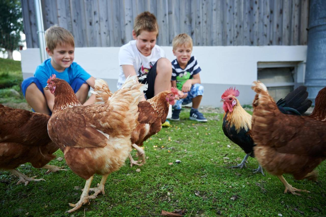 Farmstay&Glamping Visocnik Ljubno Eksteriør billede