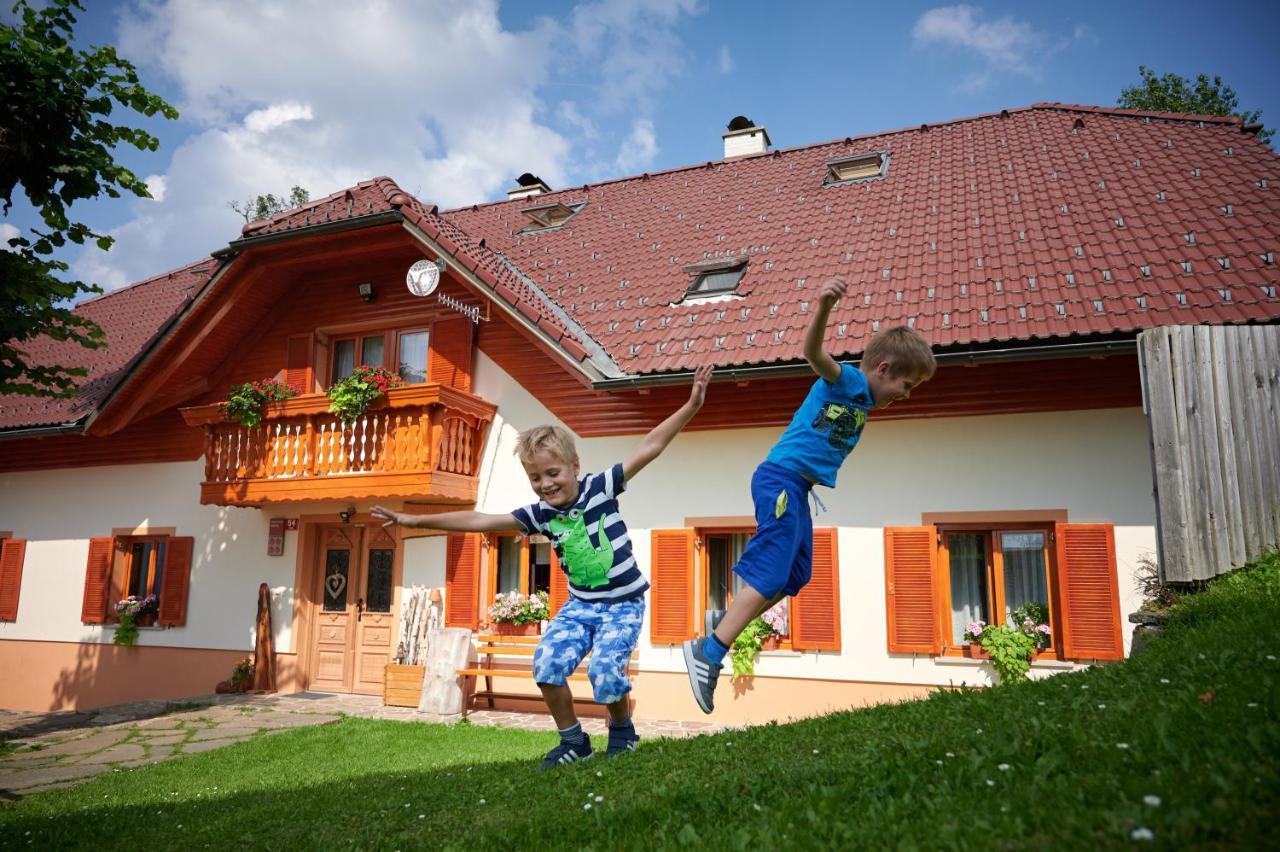 Farmstay&Glamping Visocnik Ljubno Eksteriør billede