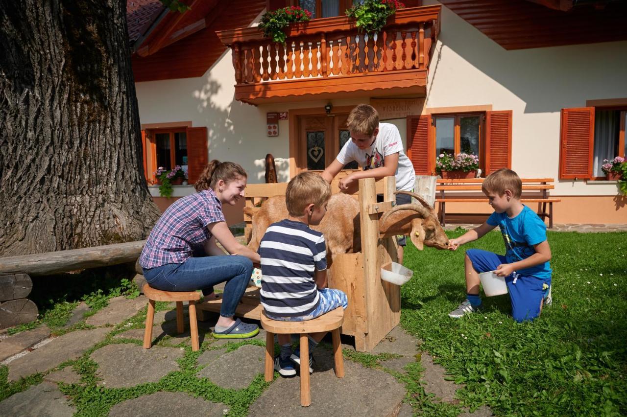 Farmstay&Glamping Visocnik Ljubno Eksteriør billede