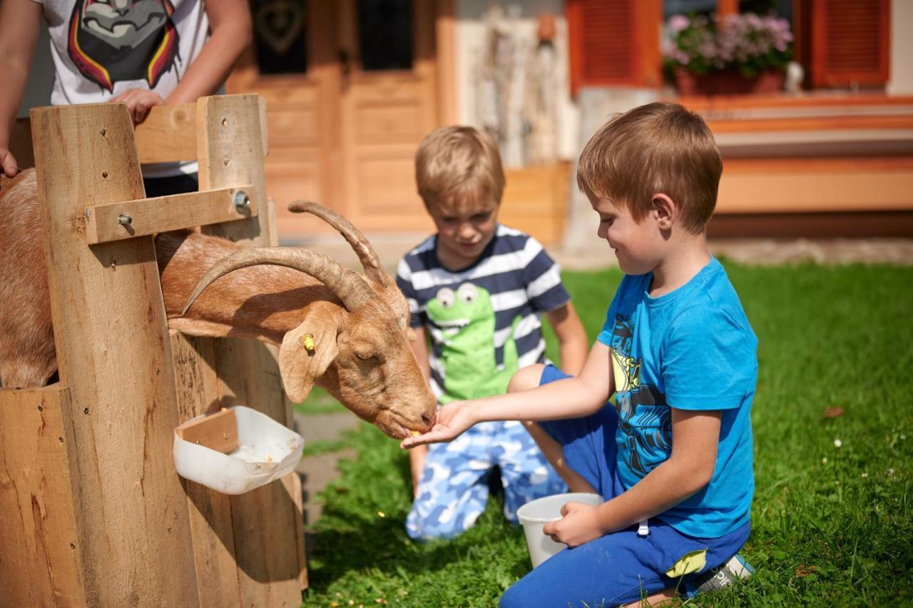 Farmstay&Glamping Visocnik Ljubno Eksteriør billede